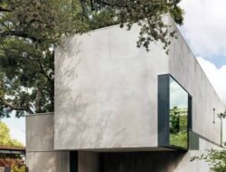 Inilah Deretan Pohon yang Dapat Merusak Pondasi Rumah!