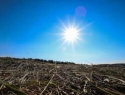 Ini Prediksi BMKG, Soal Kapan Musim Kemarau 2025?