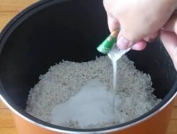 Yuk! Coba Cara Unik Masak Nasi yang Gurih Tanpa Air, Pakai Apa Ya?