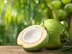 Kemenperin Usulkan Ekspor Kelapa Disetop Buntut Langka dan Mahal!