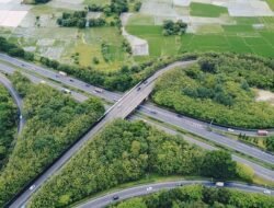 Deretan Ruas Tol yang Naik Tahun Ini
