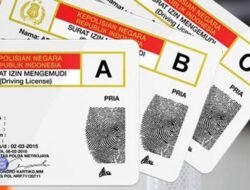 Mulai Juni 2025, SIM Indonesia Berlaku di 8 Negara Ini!