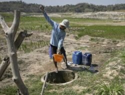 Cek Disini! Daftar Wilayah Sudah Memasuki Musim Kemarau