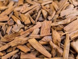 Deretan Jenis Kayu Termahal di RI yang Jadi Buruan Dunia!