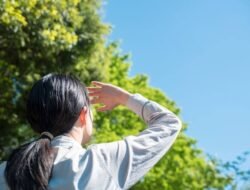 Saat Musim Kemarau, Inilah Daerah Paling Rawan di Indonesia 2025