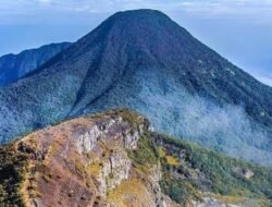 Viral di Medsos, Pendaki Gunung Gede-Pangrango Buang Celana dalam Sembarangan