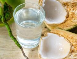 Minum Air Kelapa Bisa Turunkan Gula Darah, Cek Faktanya!