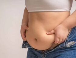 Apa Itu Visceral Fat, yang Disebut Menkes Bisa Picu Kematian Dini