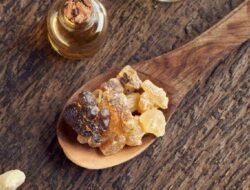 Wow! Kemenyan Indonesia Diborong China hingga Prancis, Untuk Apa?