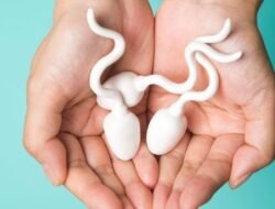 Deretan Makanan yang Bikin Sperma Pria Makin Subur, Apa Saja ya?