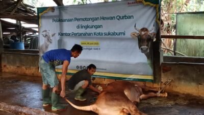 Kantor Pertanahan Kota Sukabumi Gelar Kurban di Hari Tasyrik, Pererat Relasi dan Tebar Kebaikan