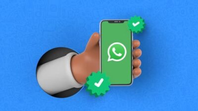 Sipaling Misterius, Begini Cara Membuat WhatsApp Centang 1 Tapi Tetap Online