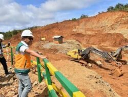 4 Perusahaan Tambang Nikel di Raja Ampat Berpotensi Kena Pidana