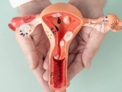 Daftar Makanan untuk Tingkatkan Kualitas Sel Telur Wanita