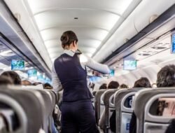 Langkah-langkah yang Perlu Dilakukan Jika Barang Hilang di Pesawat