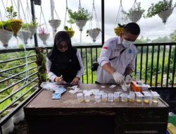 BNNK Sukabumi Tes Urine Ratusan Karyawan PT JAPFA, Ini Hasilnya!