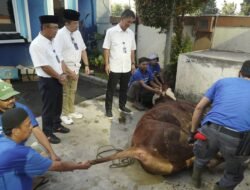 Perkuat Kepedulian dan Solidaritas Sosial, Jamkrindo Salurkan Hewan Qurban
